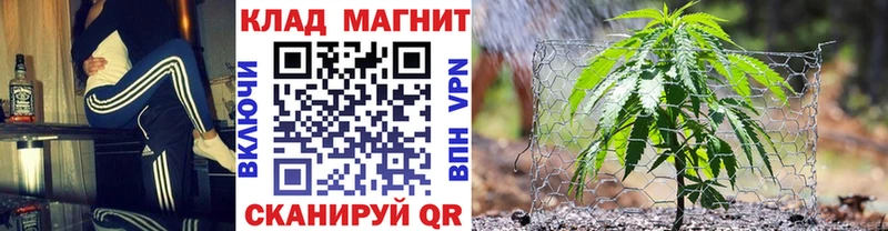 Где продают наркотики Михайловск ГАШИШ КОКАИН СОЛЬ Псилоцибиновые грибы Метамфетамин МЕФ