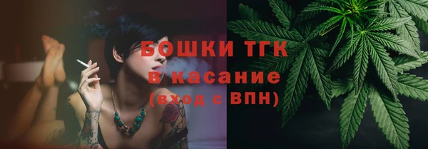 гидра Осинники