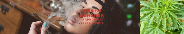 гидра Осинники