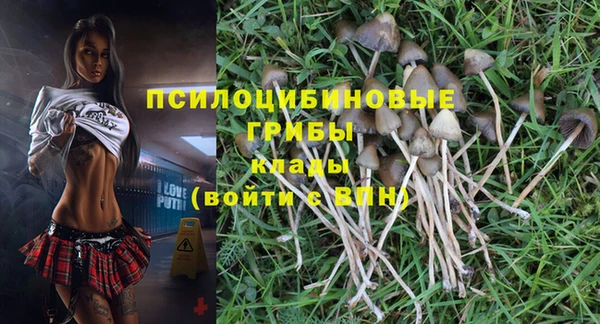 гидра Осинники
