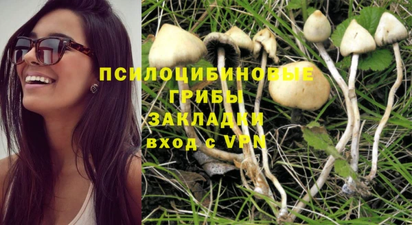 прущие грибы Остров