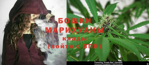 гидра Осинники