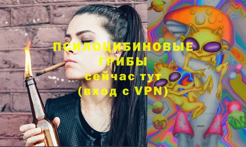 Псилоцибиновые грибы Magic Shrooms  МЕГА как войти  Михайловск 