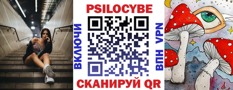 Псилоцибиновые грибы Psilocybine cubensis  OMG зеркало  Михайловск 